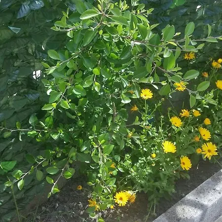 펜션 Il Recinto Dei Sassi 마테라